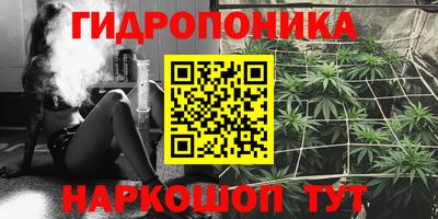 скорость Берёзовский